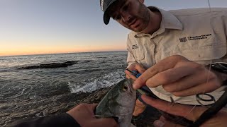 I CAUGHT THE BIGGEST FISH IN HERVEY BAY FISHING QUEENSLAND EP76 [upl. by Kendyl]