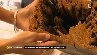 Comment se protéger des termites [upl. by Yllut]