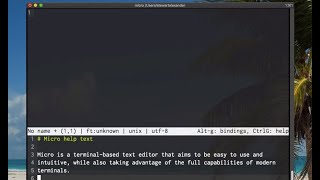 Micro  command line  CLI  Terminal text editor like Notepad [upl. by Eilyw758]