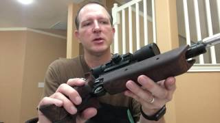 Crosman 1322 Modifications [upl. by Yemerej769]