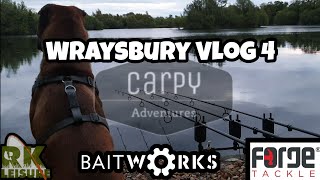 Carp Fishing  Wraysbury Vlog 4  2019 [upl. by Atiras]