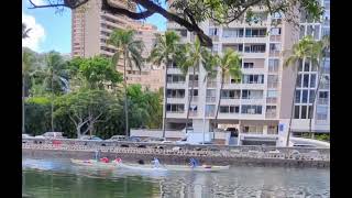 outrigger canoe paddlers pass by on the canal [upl. by Lindgren]