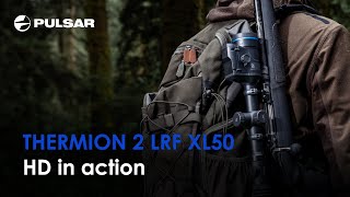 Pulsar Thermion 2 LRF XL50  HD thermal device  Live performance [upl. by Olwen]