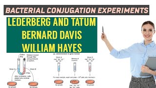 BACTERIAL CONJUGATION \ DETAILS OF EXPERIMENTS\LEDERBERG AND TATUM\BERNERD DAVIS\WILLIAN HAYES [upl. by Fleece]