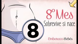 MES 8  Octavo mes de embarazo  Semana a semana [upl. by Riane348]