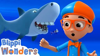 Blippis Ocean Shark Adventure  Blippi Wonders  Educational Cartoons for Kids [upl. by Imefulo]