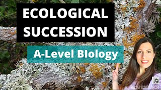 Ecological Succession Alevel biology Primary amp secondary succession ampeach seral stage explained [upl. by Atiroc]