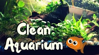 Best tool to do water changes and clean gravel  Aquarium Gravel Vacuum [upl. by Innavoij853]