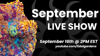 Tidal Gardens September 2023 Live Show [upl. by Eel]