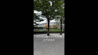 代々木公園 イベント 広場 けやき 並木 ハチ公バス ハチ公 バス 停留所 渋谷区 役所 渋谷駅 原宿駅 明治神宮前 フェスタ イベント nhk shibuya [upl. by Boffa446]