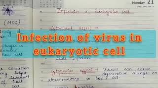 Infection of virus in eukaryotic cells Cytocidal and Cytopathic effects of viruses [upl. by Max]