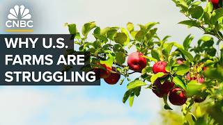 Why The US Isn’t Growing Enough Food [upl. by Medarda]