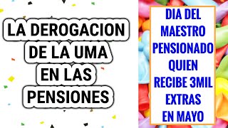 maestros pensionados bono y derogación de la UMA en las pensiones pension amlo maestro [upl. by Nylorak]