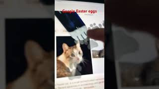 Google Easter eggs [upl. by Llerod922]