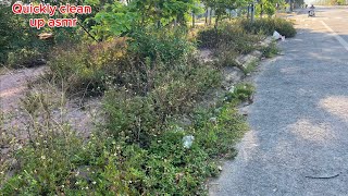 I cleaned up a buried trash heap under the grass along a Walkway [upl. by Trudy]