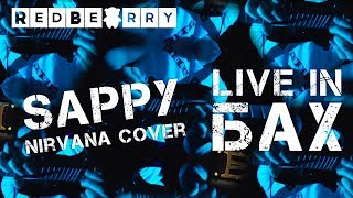 RedBearry  Sappy Nirvana Live Cover [upl. by Solnit129]