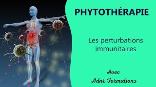 Les perturbations immunitaires  ADNR Formations [upl. by Anirtal]