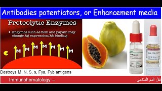 Lecture 115 Antibodies potentiators or Enhancement media [upl. by Ahsined]