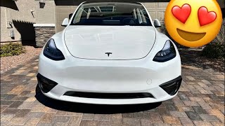 Tastey Aka My 2023 Tesla Model Y Is Fun To Drive Again With This Mod [upl. by Inneg]