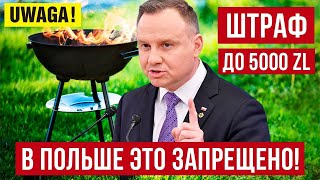 Штраф до 5000 злотых в Польше Это надо знать [upl. by Iak]