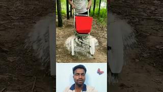 🤔உரம் போட சூப்பர் மெஷின்⁉️  Fertilzer Applying Machine🔥 trending fertilizer machine yt shorts [upl. by Ahsiuqat722]