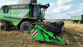 Dreschen 2024  deutzfahrofficial [upl. by Olney]