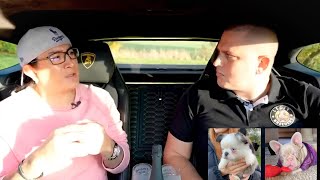 Legit Breeders Episode 4  Pink and Husky French Bulldog  Dezinerbullz [upl. by Reisfield]