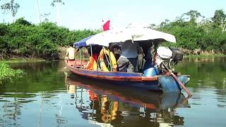 Tour por el Rio Ucayali en Pucallpa [upl. by Onibag911]