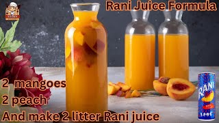 Refreshing Mango And Peach Juice  Rani Juice Formula  Summer Special Juice [upl. by Aekin]