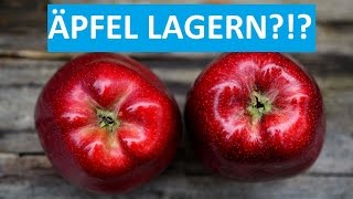 Äpfel lagern ★★★ Wie macht man es richtig [upl. by Dlawso]