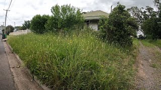 NEGLECTED HOUSE now LOOKS INCREDIBLE  Yard clean up [upl. by Chee]