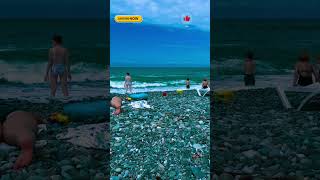 Makhinjauri Beach🌞ge wildlife georgia beach nature shorts waves travel short marine [upl. by Assillim]