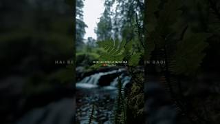 Baarish Lyrics  Yaariyan  Rain Video 🌧️  Nature Status  Love Song shorts [upl. by Aihsened807]