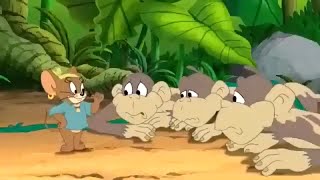 tom and jerry  Monkey full episodes  looney tunes cartoons  Wbkidscartoonsbn3ix [upl. by Yentiw]