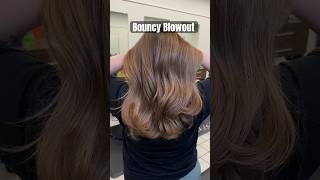 Bouncy Blowout balayage balayagegoals haircolor salonlife hairstylist hairblowout [upl. by Milton]