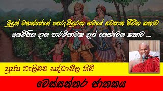 වෙස්සන්තර ජාතකය  Vessantara Jātaka  Yowun Daham Sakwala  Ven Welimada Saddaseela Thero [upl. by Oynotna]