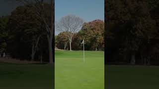 🤯 Grant Horvat Puts A Bunker Shot Close To The Pin ⛳ youtubegolf golf granthorvat [upl. by Oswald]