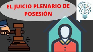 EL JUICIO PLENARIO DE POSESIÓN [upl. by Stubbs993]