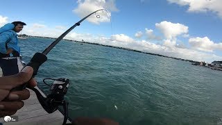 ep10 Shore fishing at Point Aux Cannoniers  Mauritius [upl. by Saito]