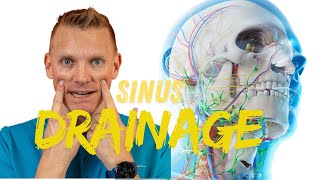 Warning This Sinus Drainage Technique Could Change Your Life [upl. by Akenn]