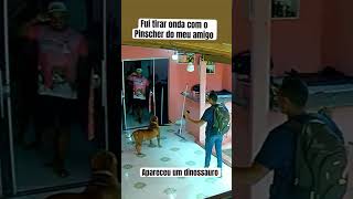 PIT MONSTER X PINSCHER quase me deu ruim [upl. by Ilsel]