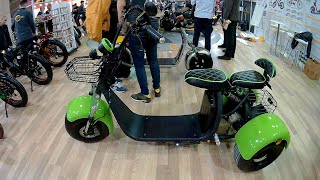 2019 Citycoco 3 Wheel Electric Scooter [upl. by Naghem]