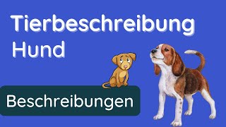 So beschreibst du einen Hund ✅ Anleitung und Beispiel [upl. by Bettencourt]