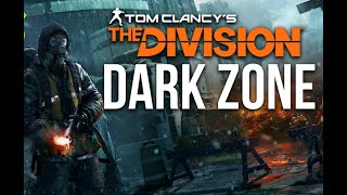 Div1 Running the DZ with lvl 29 for Div Tech [upl. by Nitsreik880]