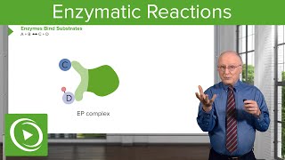 Enzymatic Reactions Types of Reactions amp Enzymes – Biochemistry  Lecturio [upl. by Darej]