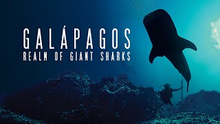 Galapagos Realm of Giant Sharks HD [upl. by Westland]