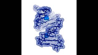 Ep 14 On the face of it RNA is a terrible drug target [upl. by Anovahs]