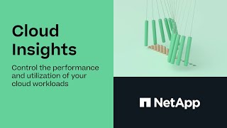 NetApp Cloud Insights [upl. by Rosol]