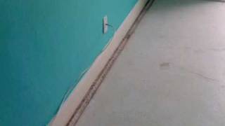 Terrazzo Tack strip removal [upl. by Ynobe]