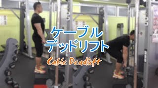 ケーブルデッドリフト（Cable Deadlift）のやり方とフォーム [upl. by Bickart848]